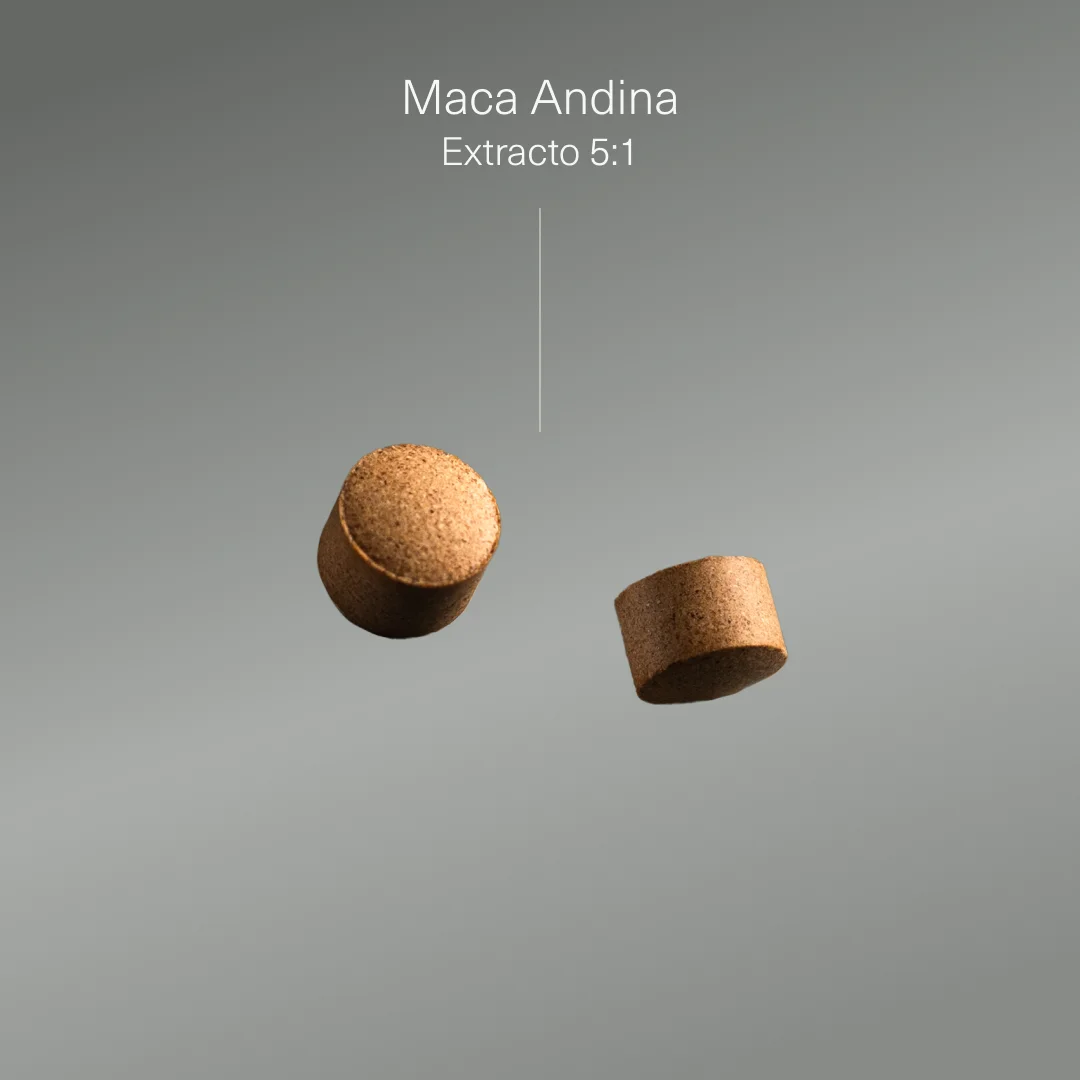 Maca Andina Ecológica Altamente Concentrada