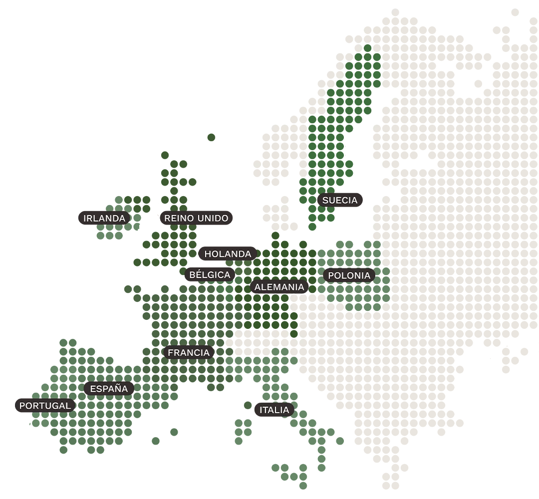 <p>Internacionalización</p>