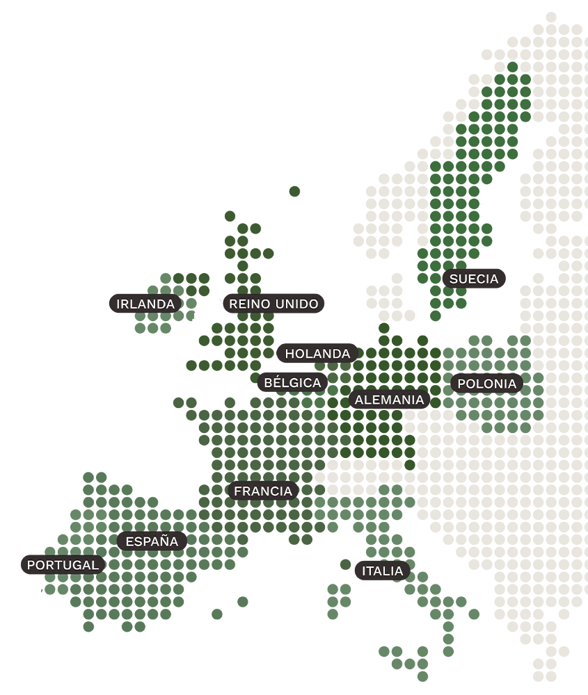 <p>Internacionalización</p>