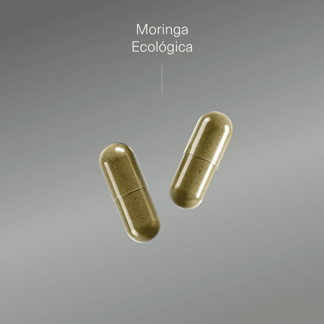 Moringa Ecológica