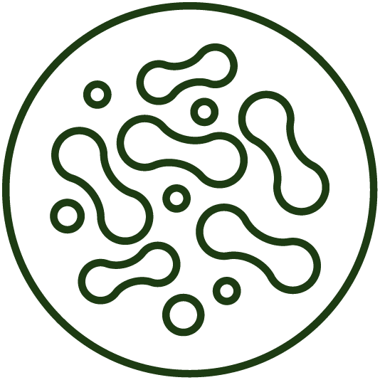 SVG del sello Mix de probióticos